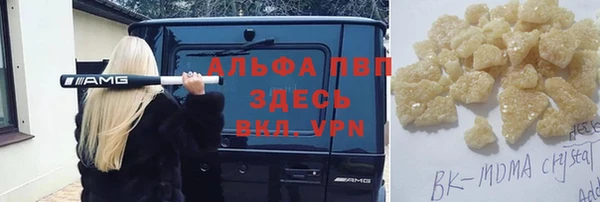 молекула духа Алексин