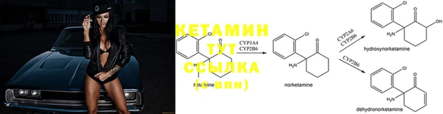 амф Остров